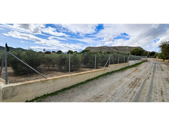 Terre non Aménagée à vendre à Totana - 70 000 € (Ref: 9919100)