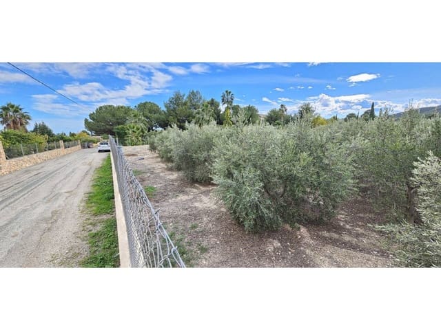 Terre non Aménagée à vendre à Totana - 70 000 € (Ref: 9919100)