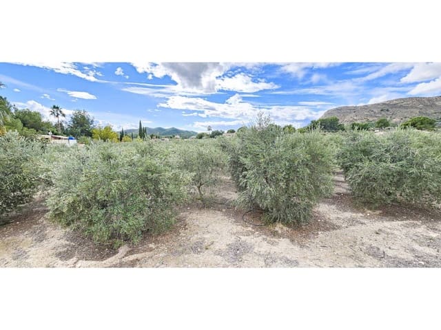 Terre non Aménagée à vendre à Totana - 70 000 € (Ref: 9919100)