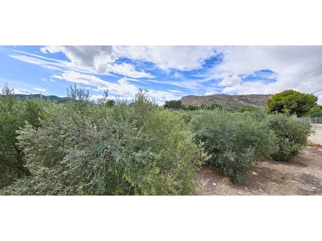 Terre non Aménagée à vendre à Totana - 70 000 € (Ref: 9919100)