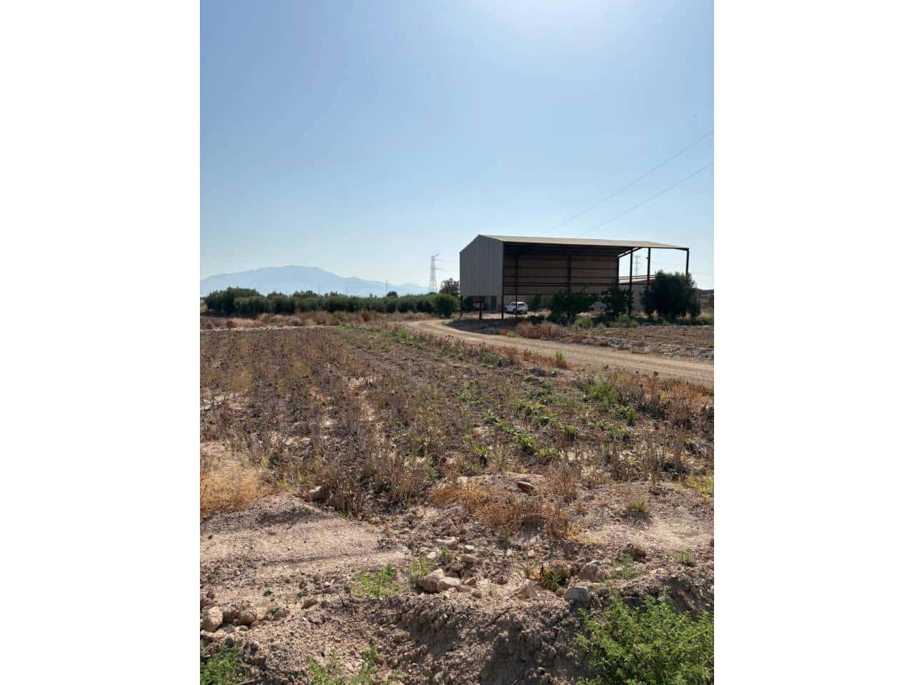 Undeveloped Land for sale in Totana - € 185,000 (Ref: 9928642)