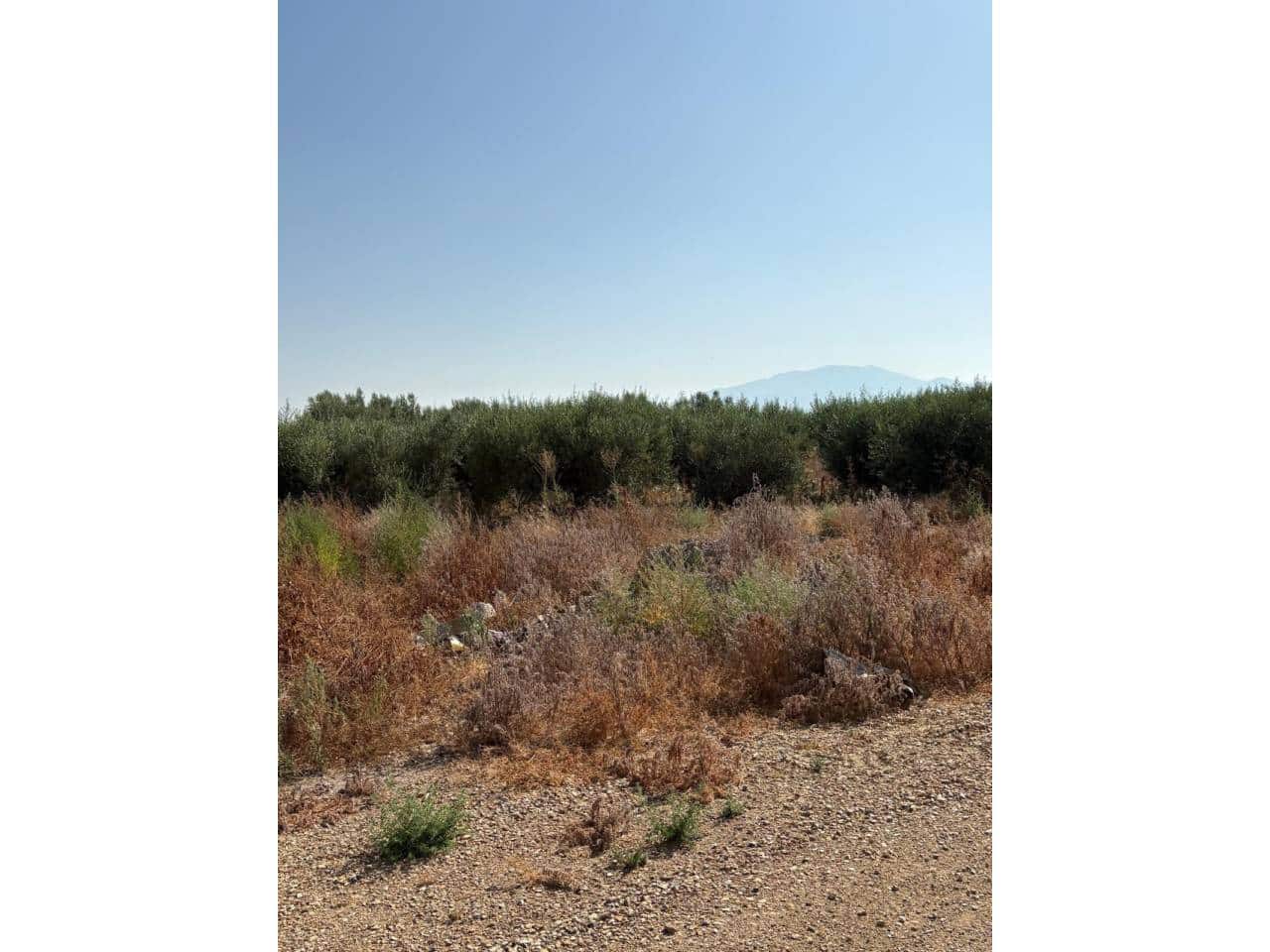 Undeveloped Land for sale in Totana - € 185,000 (Ref: 9928642)