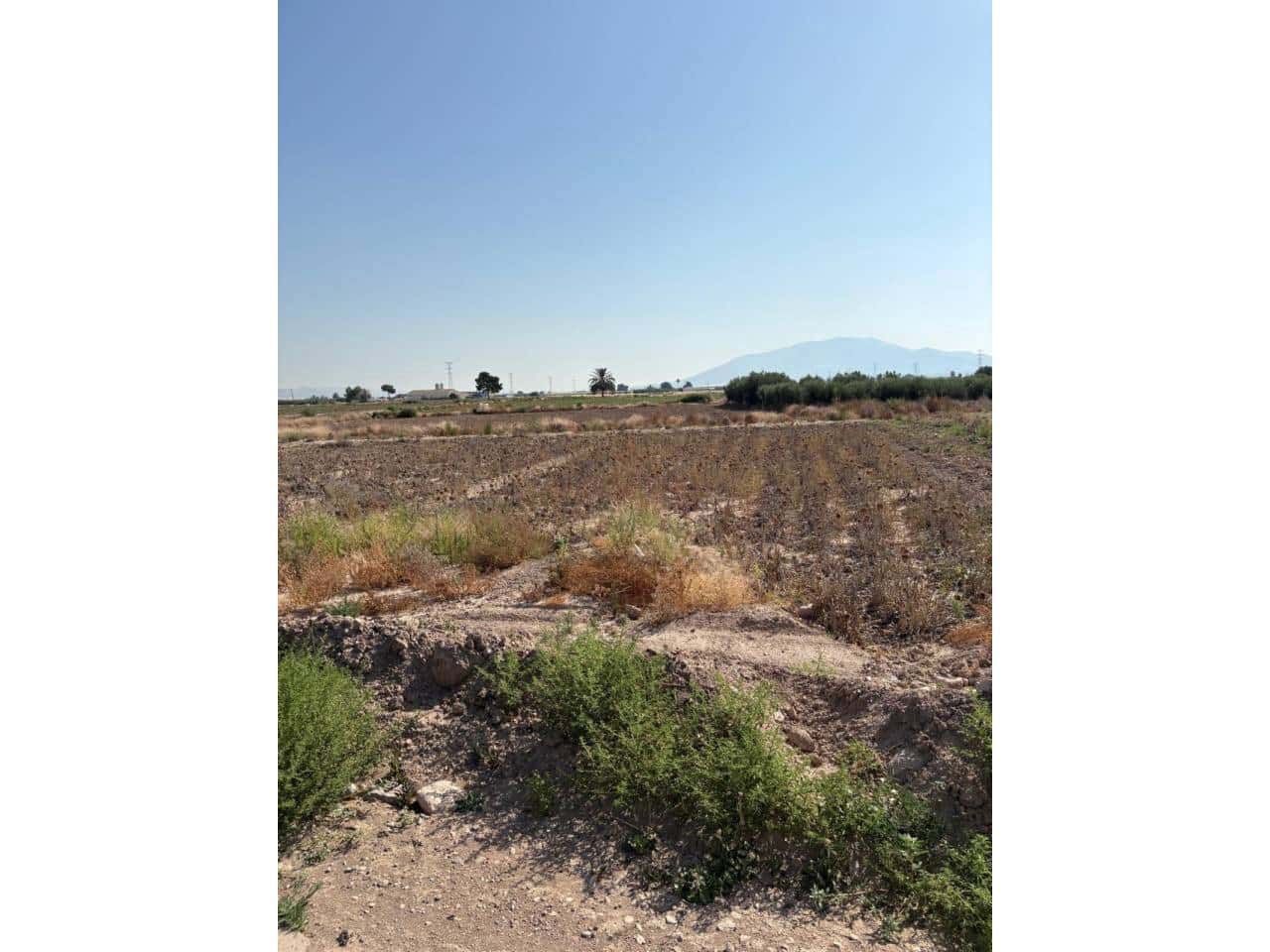 Undeveloped Land for sale in Totana - € 185,000 (Ref: 9928642)