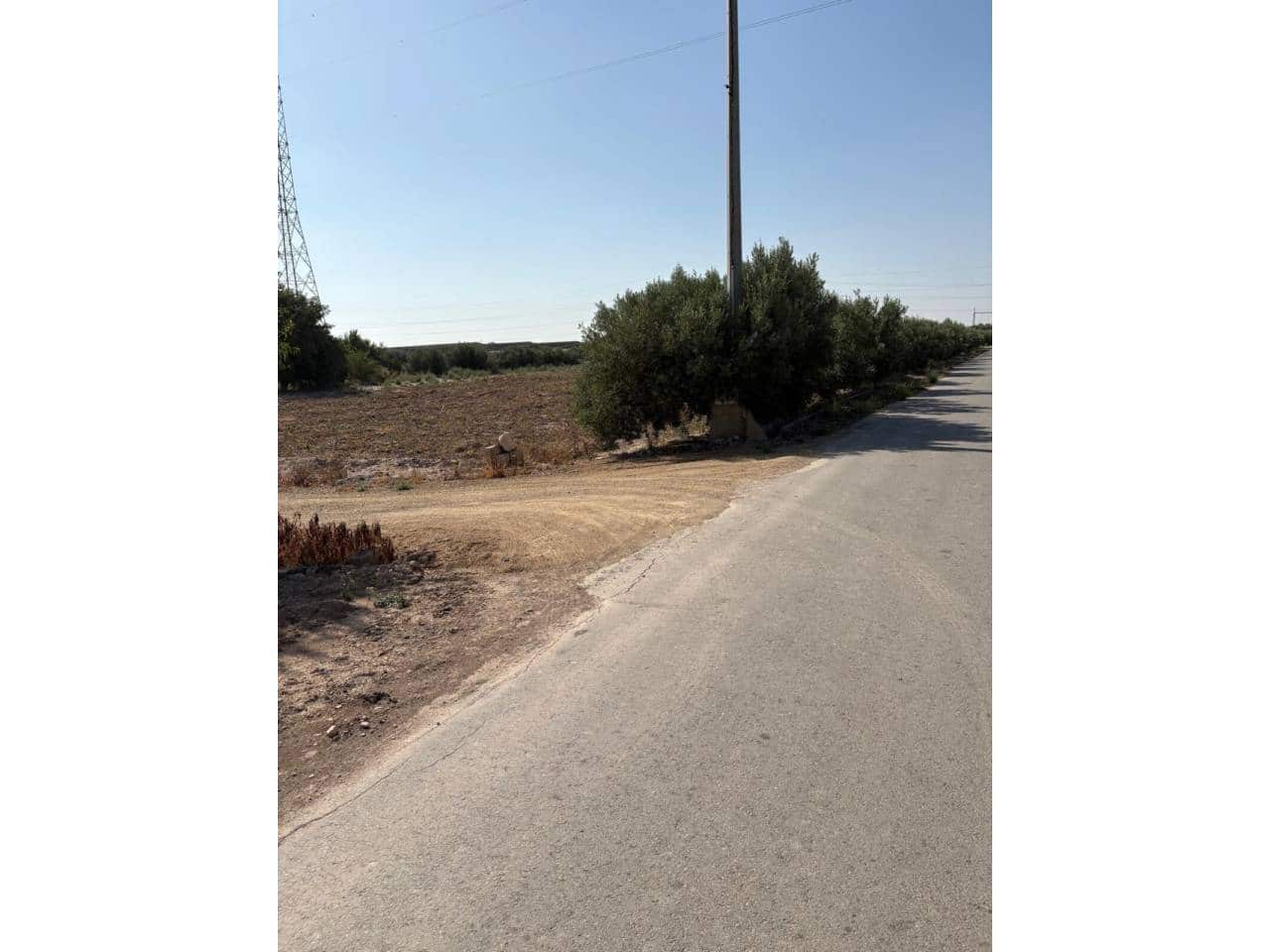 Undeveloped Land for sale in Totana - € 185,000 (Ref: 9928642)