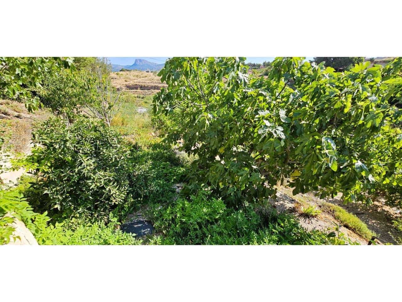 3 soveværelse Finca/Landehus til salg i Aledo med swimmingpool garage - € 200.000 (Ref: 9950898)