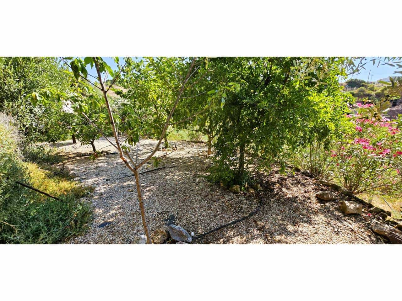 3 soveværelse Finca/Landehus til salg i Aledo med swimmingpool garage - € 200.000 (Ref: 9950898)