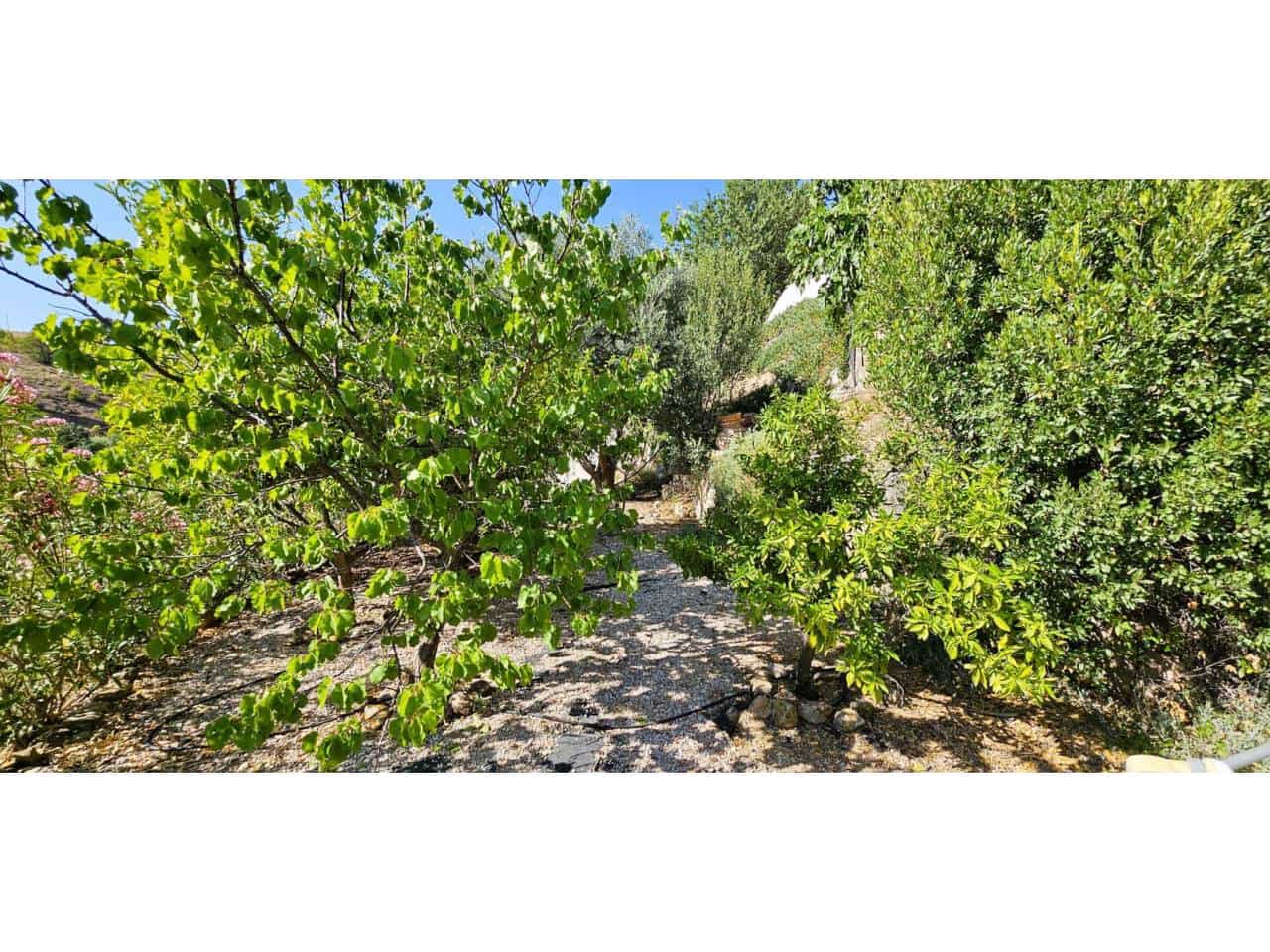 3 soveværelse Finca/Landehus til salg i Aledo med swimmingpool garage - € 200.000 (Ref: 9950898)