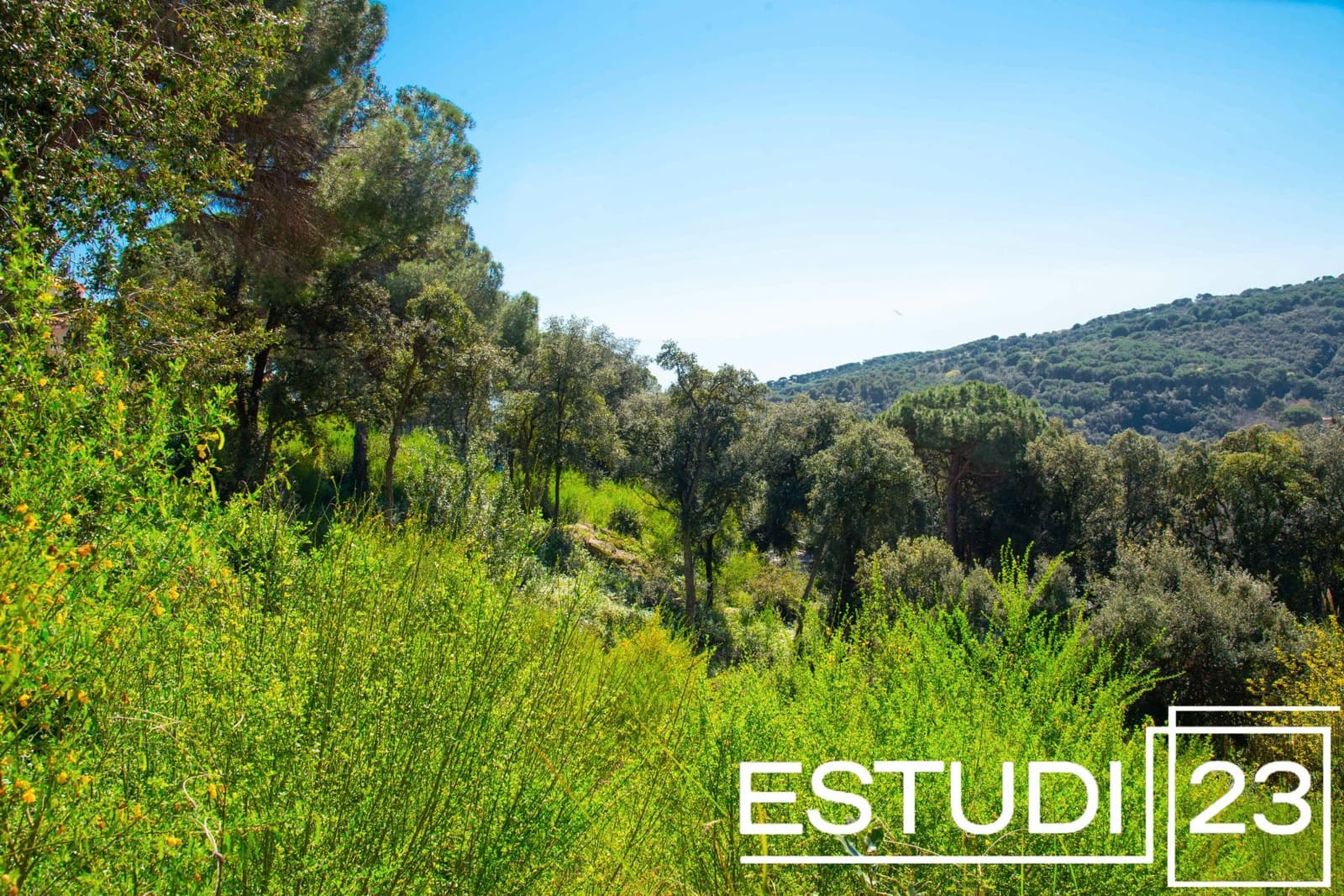 Tomt till salu i Arenys de Munt - 60 000 € (Ref: 9352791)