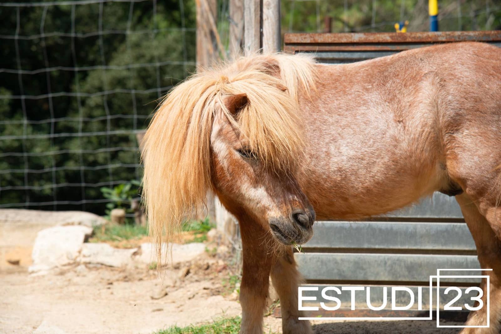 5 camera da letto Finca/Casa di Campagna in vendita in Orrius con piscina garage - 720.000 € (Rif: 9450051)