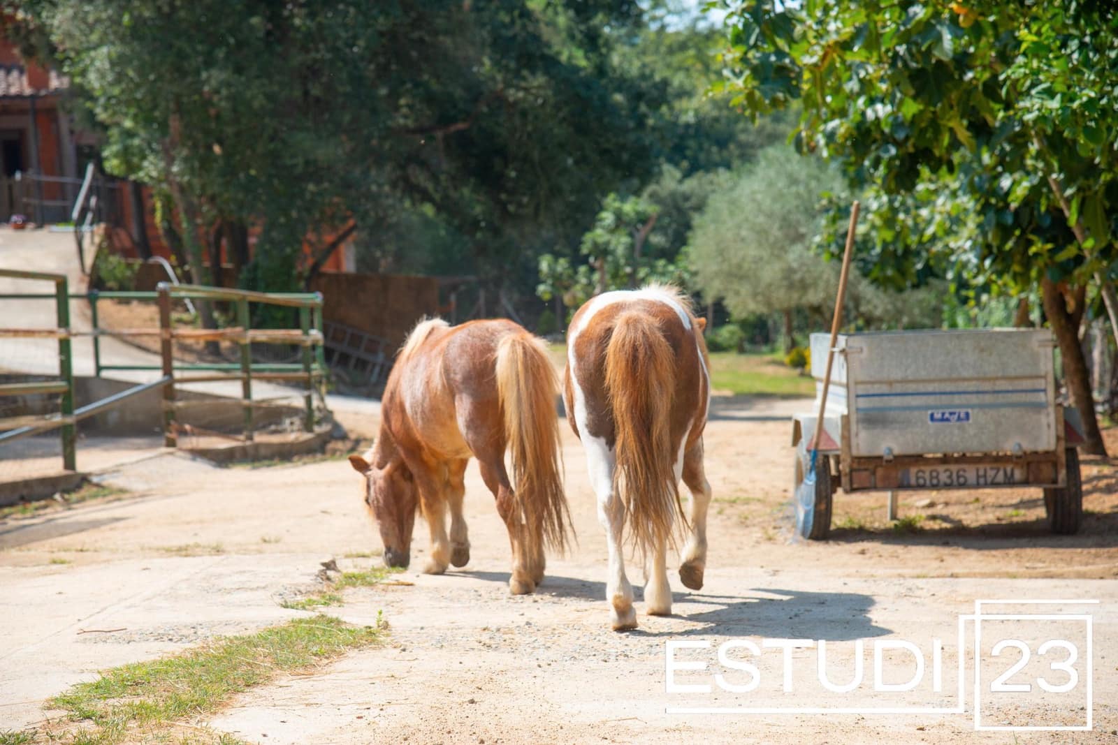 5 camera da letto Finca/Casa di Campagna in vendita in Orrius con piscina garage - 720.000 € (Rif: 9450051)