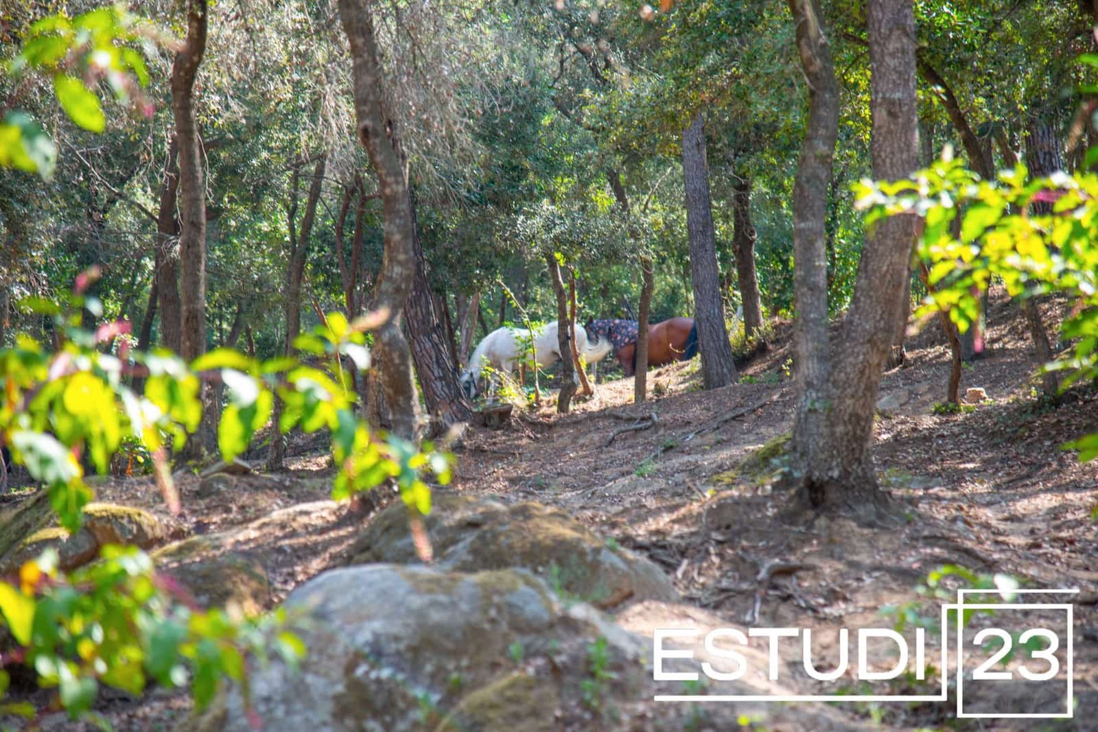 5 camera da letto Finca/Casa di Campagna in vendita in Orrius con piscina garage - 720.000 € (Rif: 9450051)