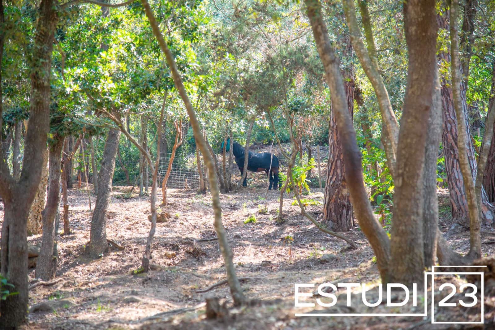 5 camera da letto Finca/Casa di Campagna in vendita in Orrius con piscina garage - 720.000 € (Rif: 9450051)