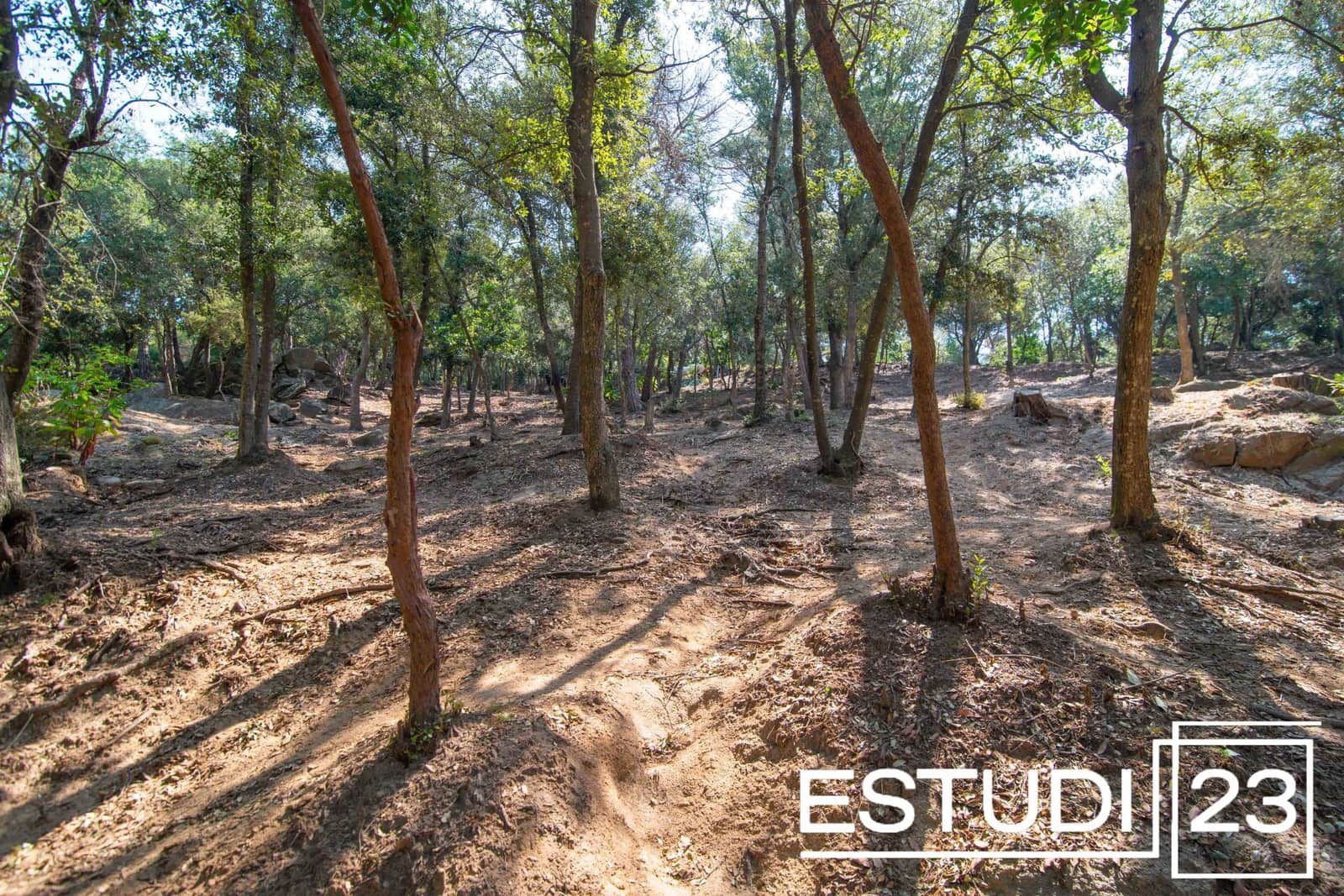 5 camera da letto Finca/Casa di Campagna in vendita in Orrius con piscina garage - 720.000 € (Rif: 9450051)