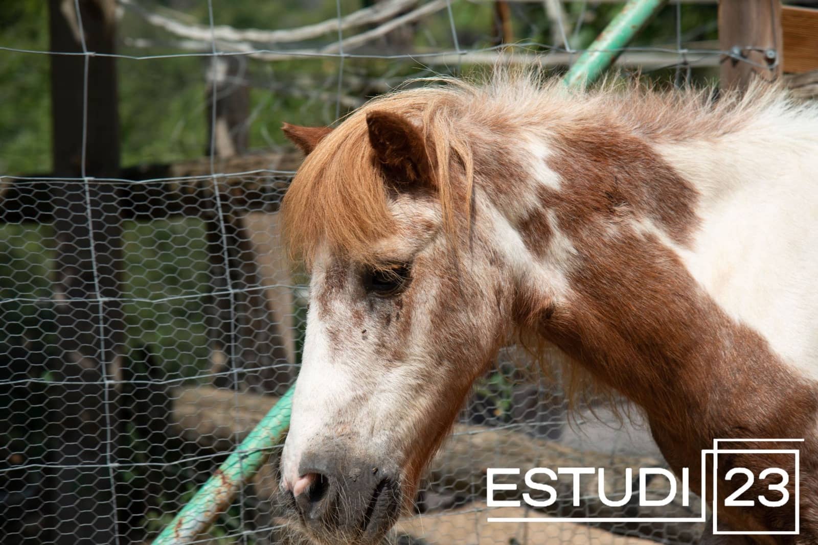 5 camera da letto Finca/Casa di Campagna in vendita in Orrius con piscina garage - 720.000 € (Rif: 9450051)