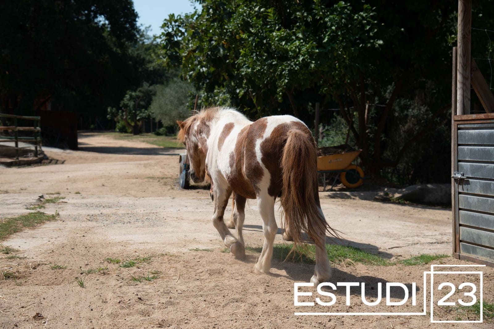 5 camera da letto Finca/Casa di Campagna in vendita in Orrius con piscina garage - 720.000 € (Rif: 9450051)