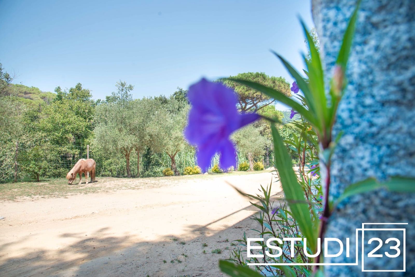 5 camera da letto Finca/Casa di Campagna in vendita in Orrius con piscina garage - 720.000 € (Rif: 9450051)