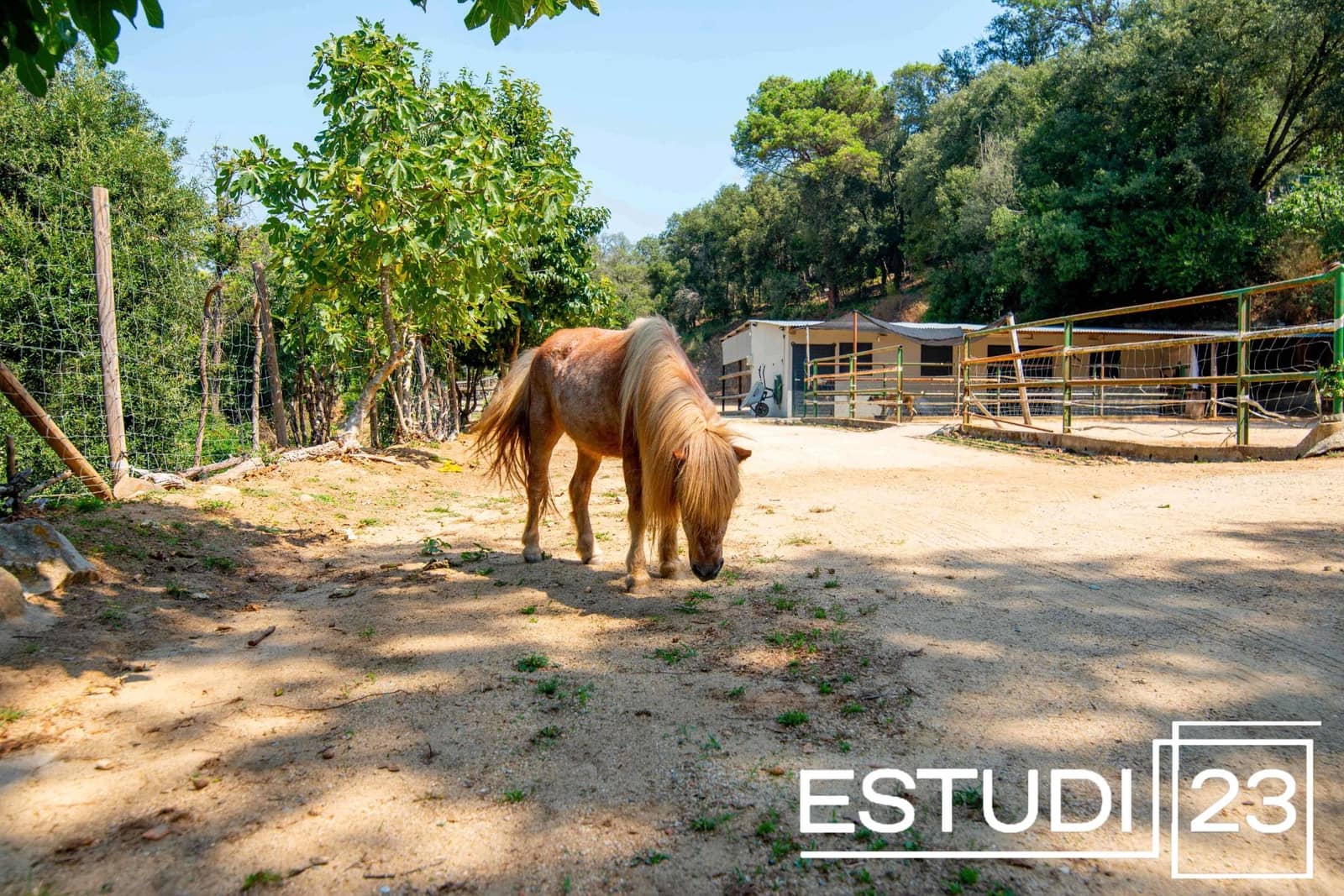 5 camera da letto Finca/Casa di Campagna in vendita in Orrius con piscina garage - 720.000 € (Rif: 9450051)