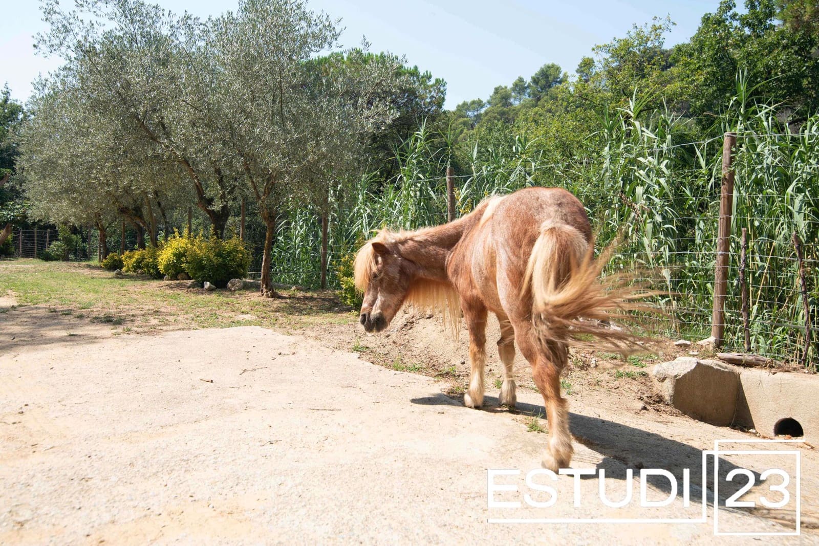 5 camera da letto Finca/Casa di Campagna in vendita in Orrius con piscina garage - 720.000 € (Rif: 9450051)