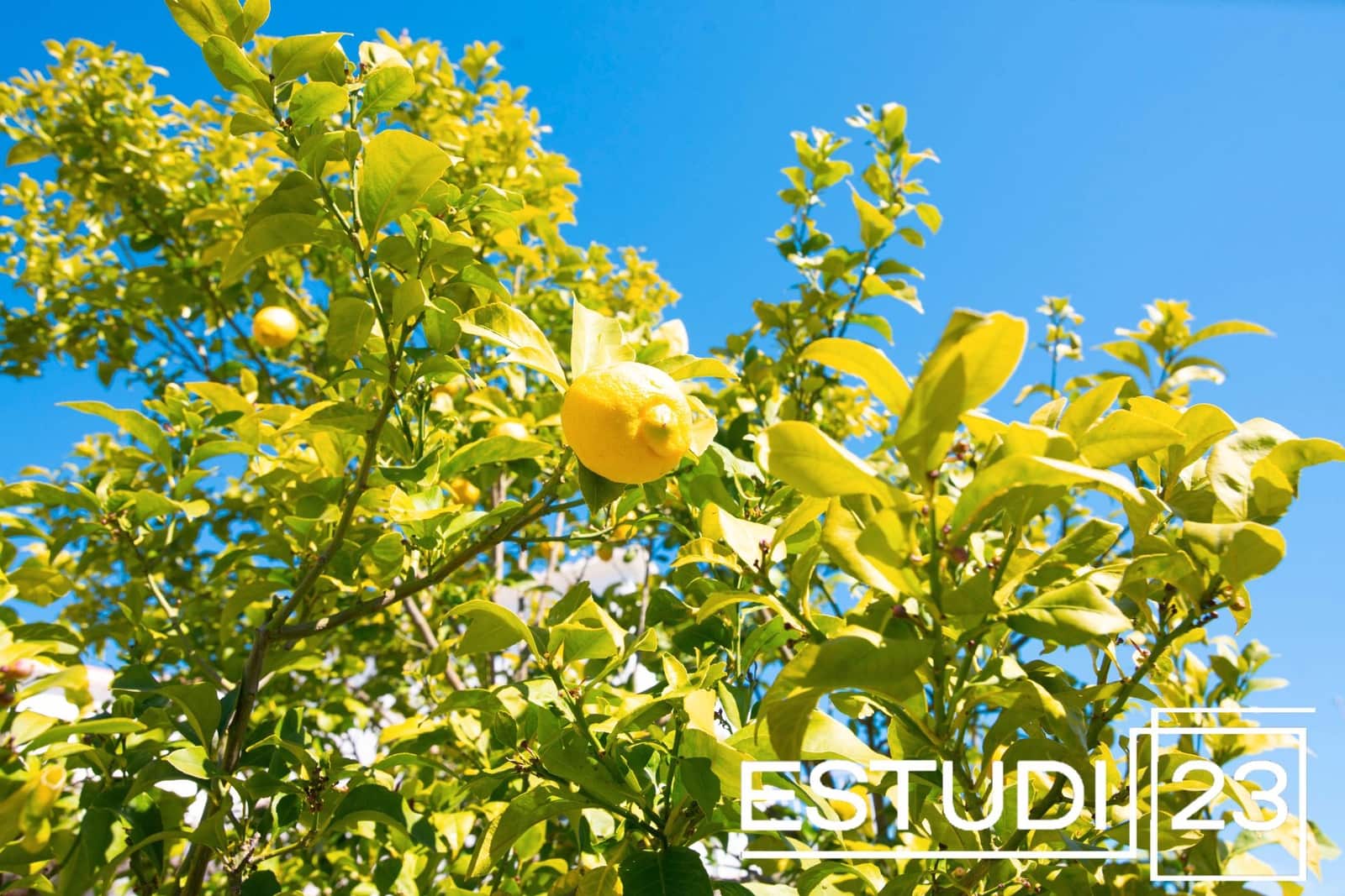 4 camera da letto Villa in vendita in Vilassar de Dalt con piscina - 710.000 € (Rif: 9689917)