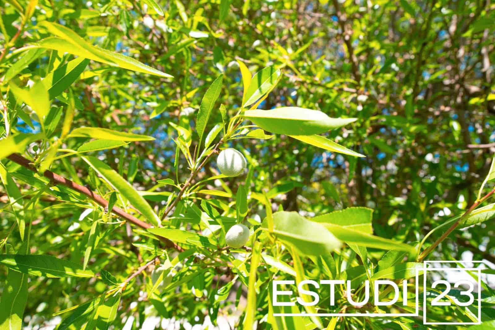 4 camera da letto Villa in vendita in Vilassar de Dalt con piscina - 710.000 € (Rif: 9689917)