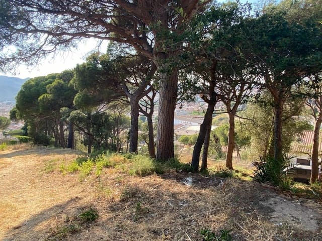 Building Plot for sale in Sant Feliu de Guíxols - € 440,000 (Ref: 9108103)