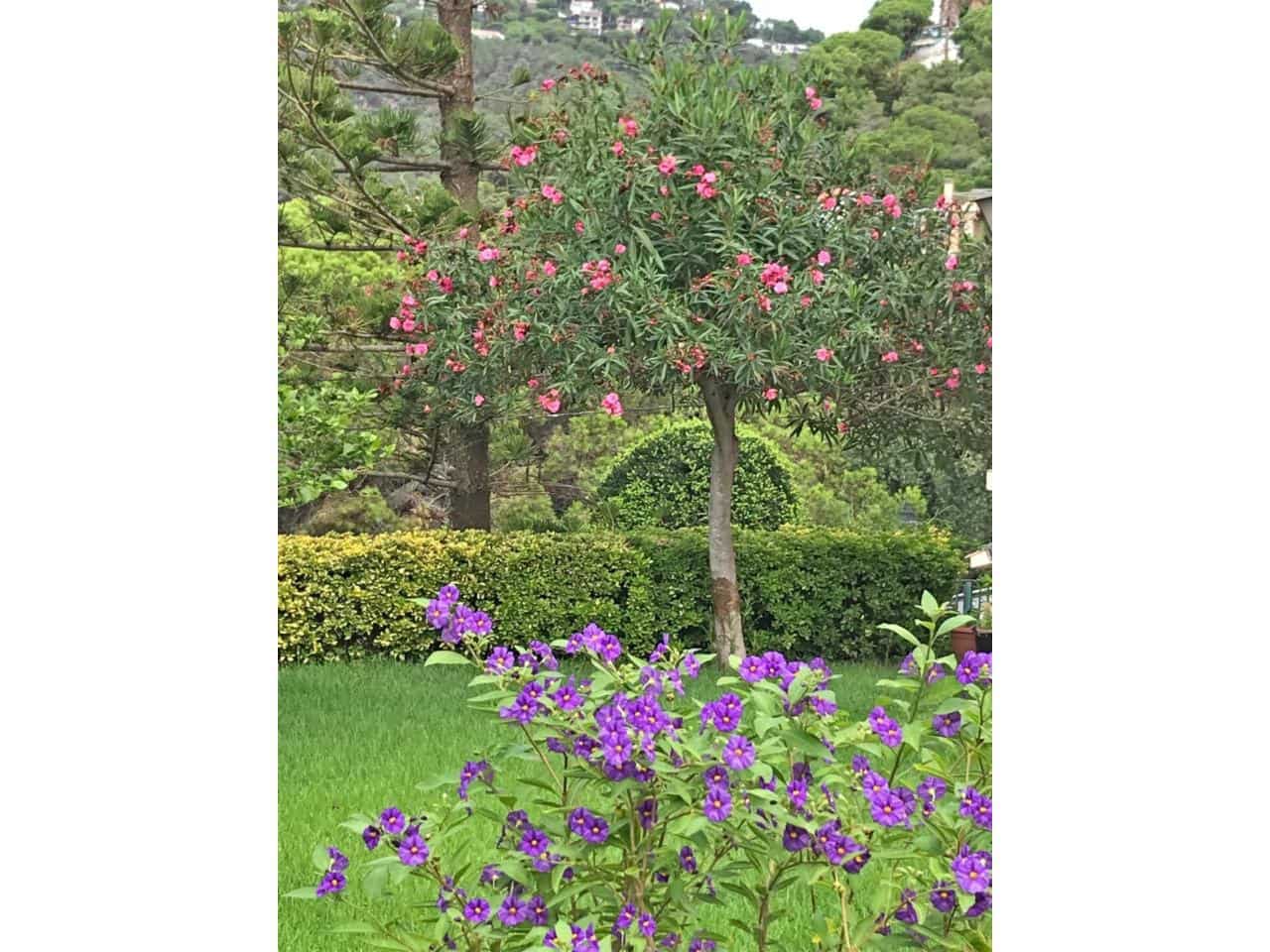 4 sypialnia Finka/Dom wiejski na sprzedaż w Lloret de Mar z basenem garażem - 595 000 € (Ref: 9186159)