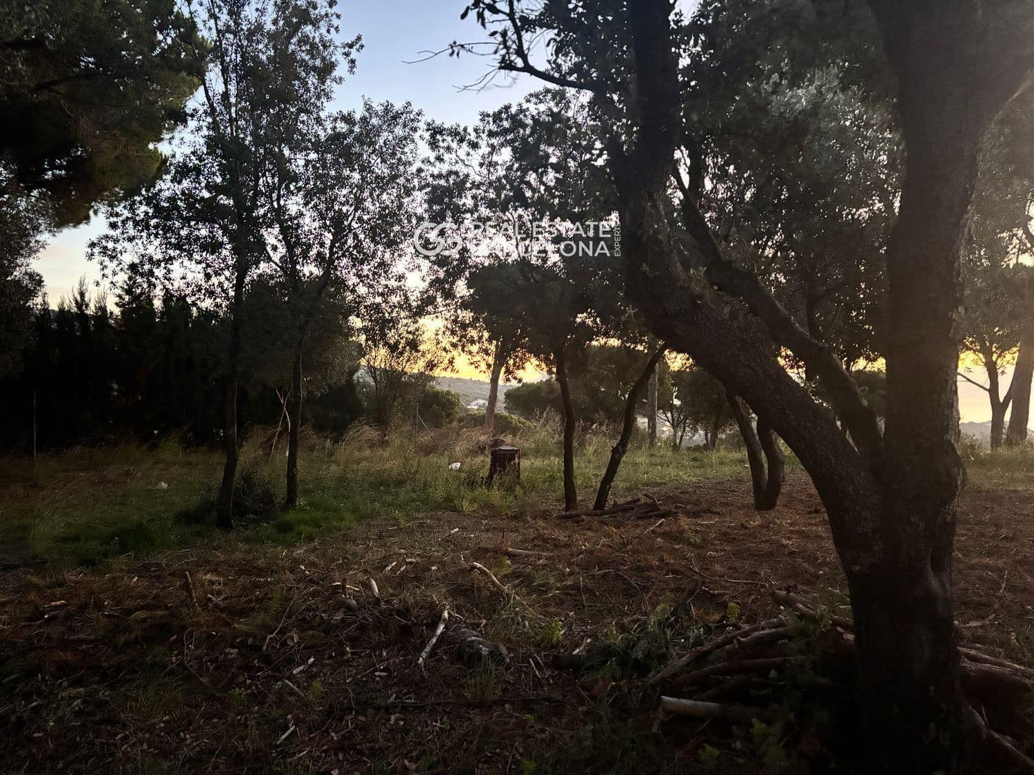 6 bedroom Villa for sale in Sant Andreu de Llavaneres with pool garage - € 1,850,000 (Ref: 9482304)