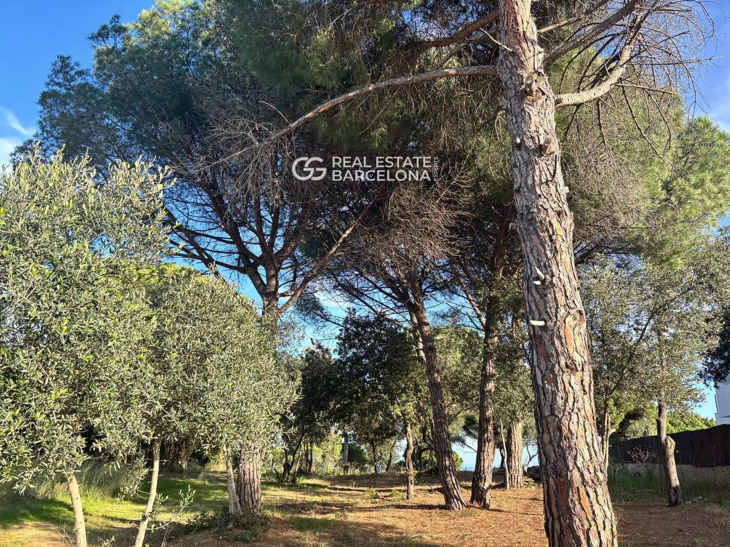 6 bedroom Villa for sale in Sant Andreu de Llavaneres with pool garage - € 1,850,000 (Ref: 9482304)