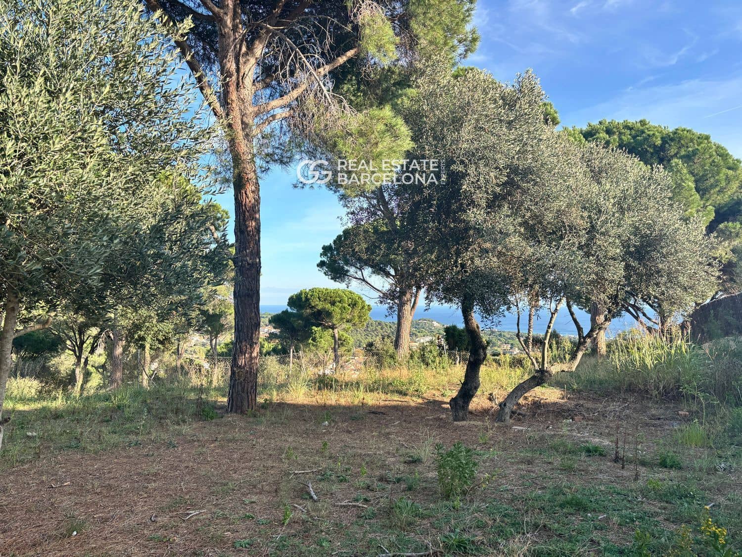 6 bedroom Villa for sale in Sant Andreu de Llavaneres with pool garage - € 1,850,000 (Ref: 9482304)