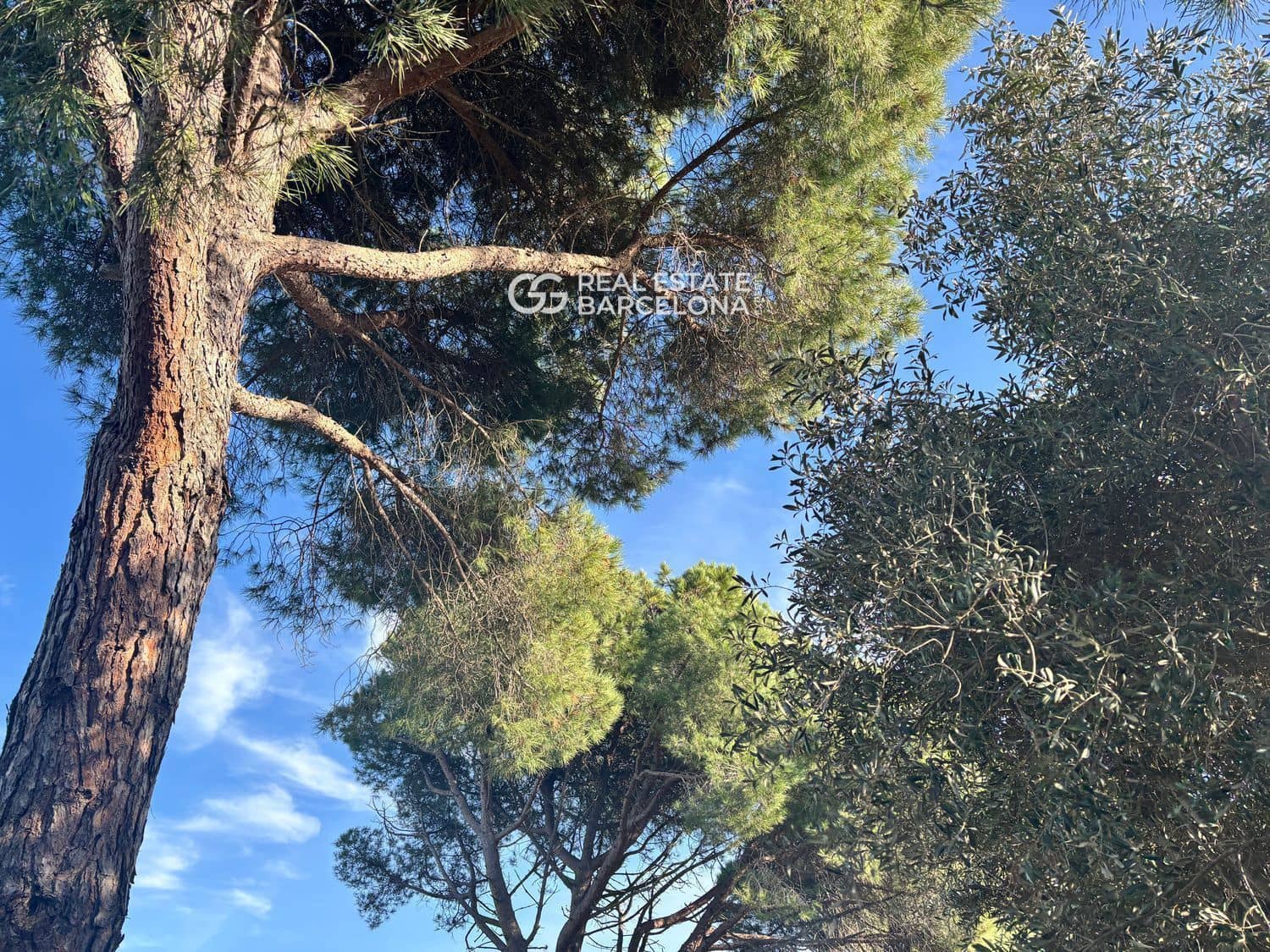 6 bedroom Villa for sale in Sant Andreu de Llavaneres with pool garage - € 1,850,000 (Ref: 9482304)