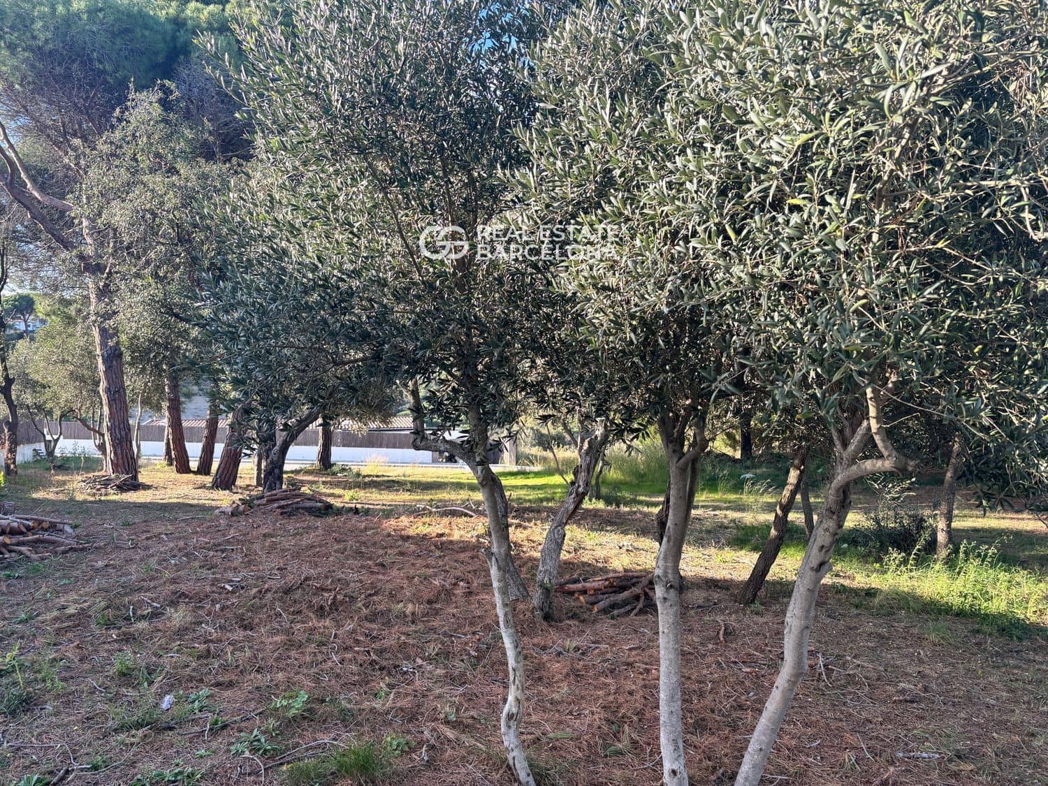 6 bedroom Villa for sale in Sant Andreu de Llavaneres with pool garage - € 1,850,000 (Ref: 9482304)