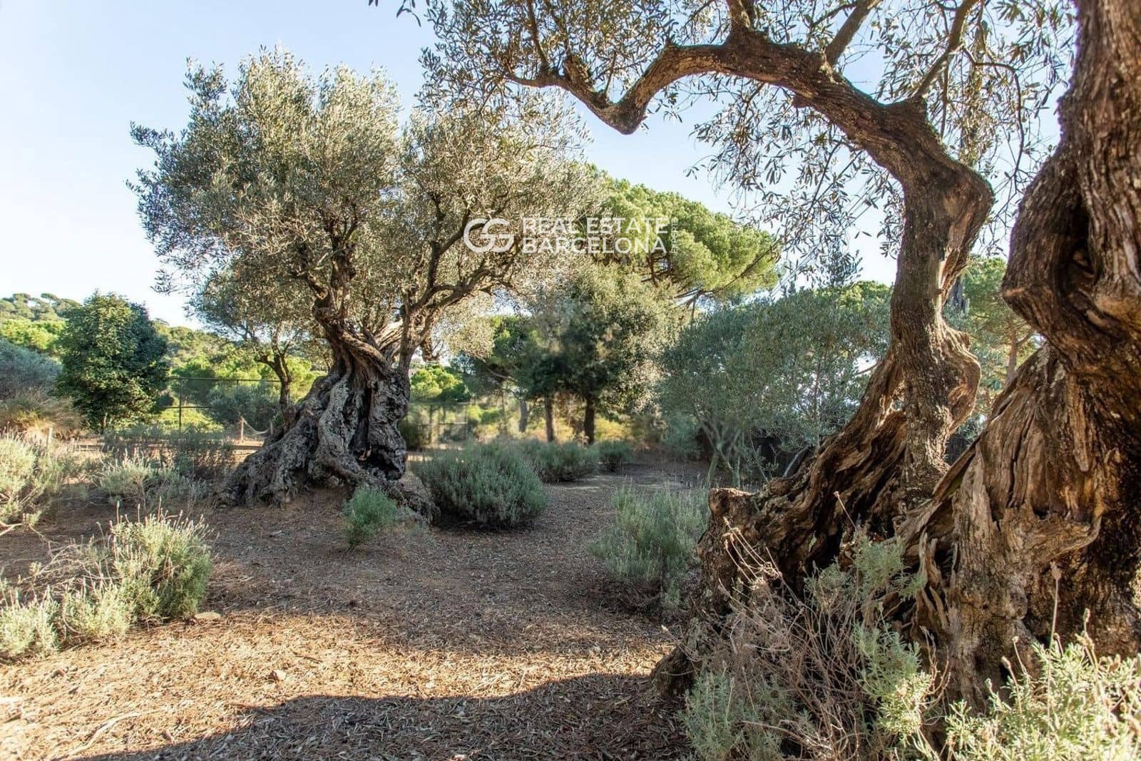 5 bedroom Villa for sale in Sant Andreu de Llavaneres with pool garage - € 1,450,000 (Ref: 9482319)