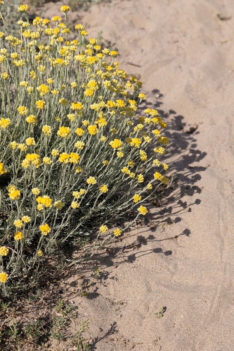 3 soverom Leilighet til salgs i Gava med svømmebasseng - € 1 195 000 (Ref: 9750955)