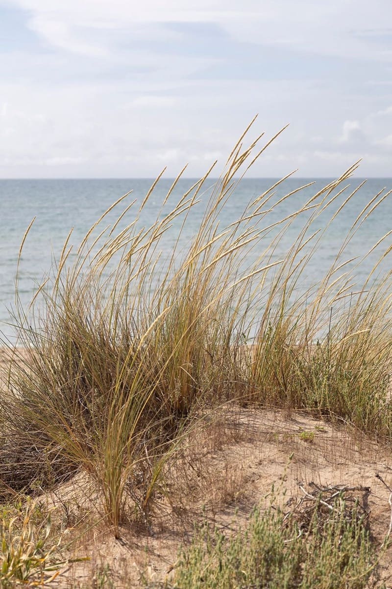 2 bedroom Flat for sale in Gava with pool - € 795,000 (Ref: 9750957)