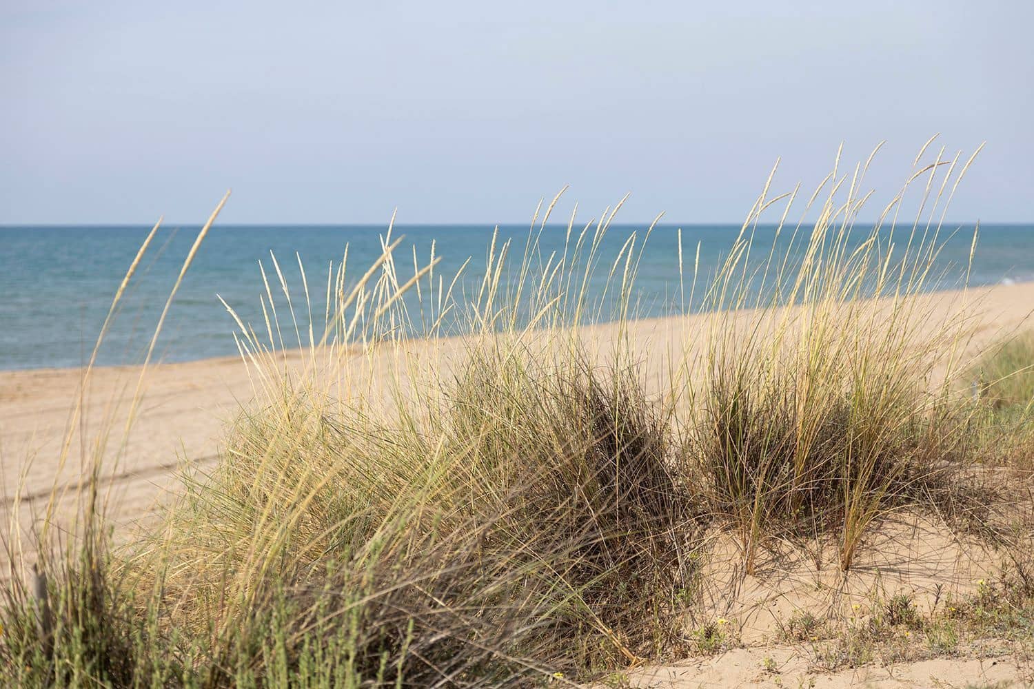 3 soverom Leilighet til salgs i Gava med svømmebasseng - € 1 295 000 (Ref: 9751317)