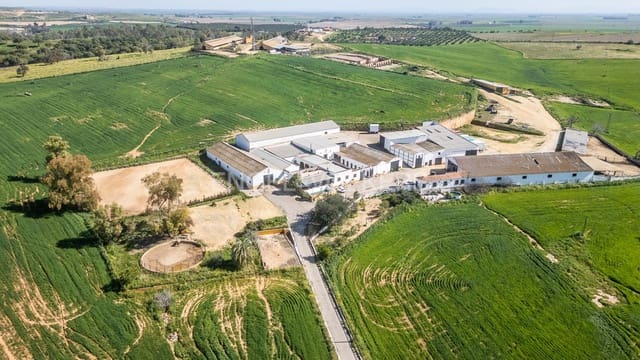 4 soveværelse Finca/Landehus til salg i Alcalá de Guadaira - € 3.800.000 (Ref: 9092057)