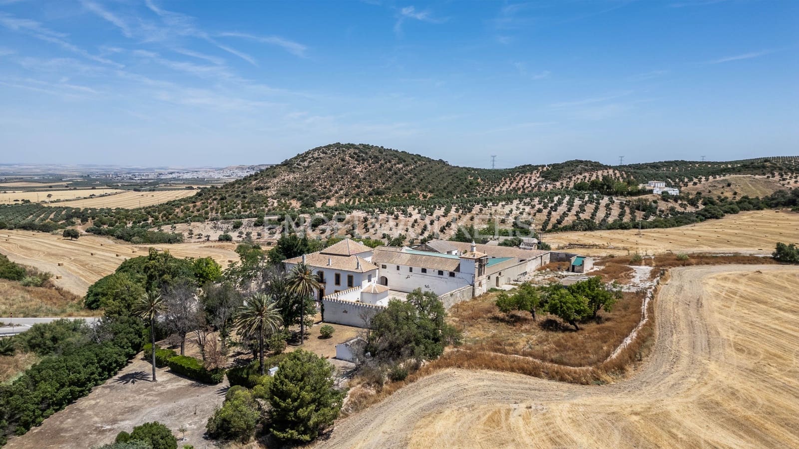 11 bedroom Finca/Country House for sale in Osuna with pool garage - € 1,950,000 (Ref: 9092080)