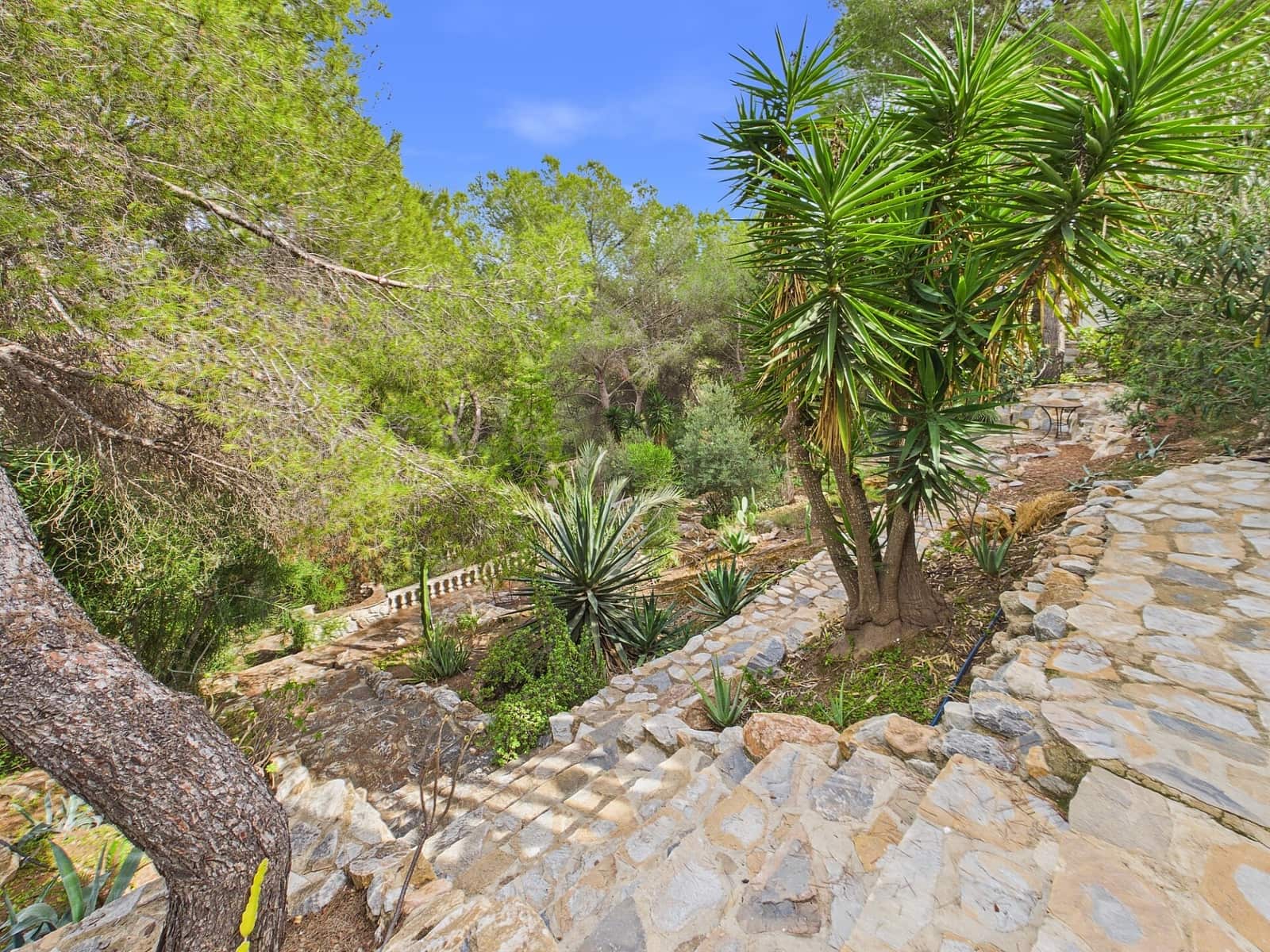 5 bedroom Villa for sale in Pinar de Campoverde with pool garage - € 460,000 (Ref: 10163506)