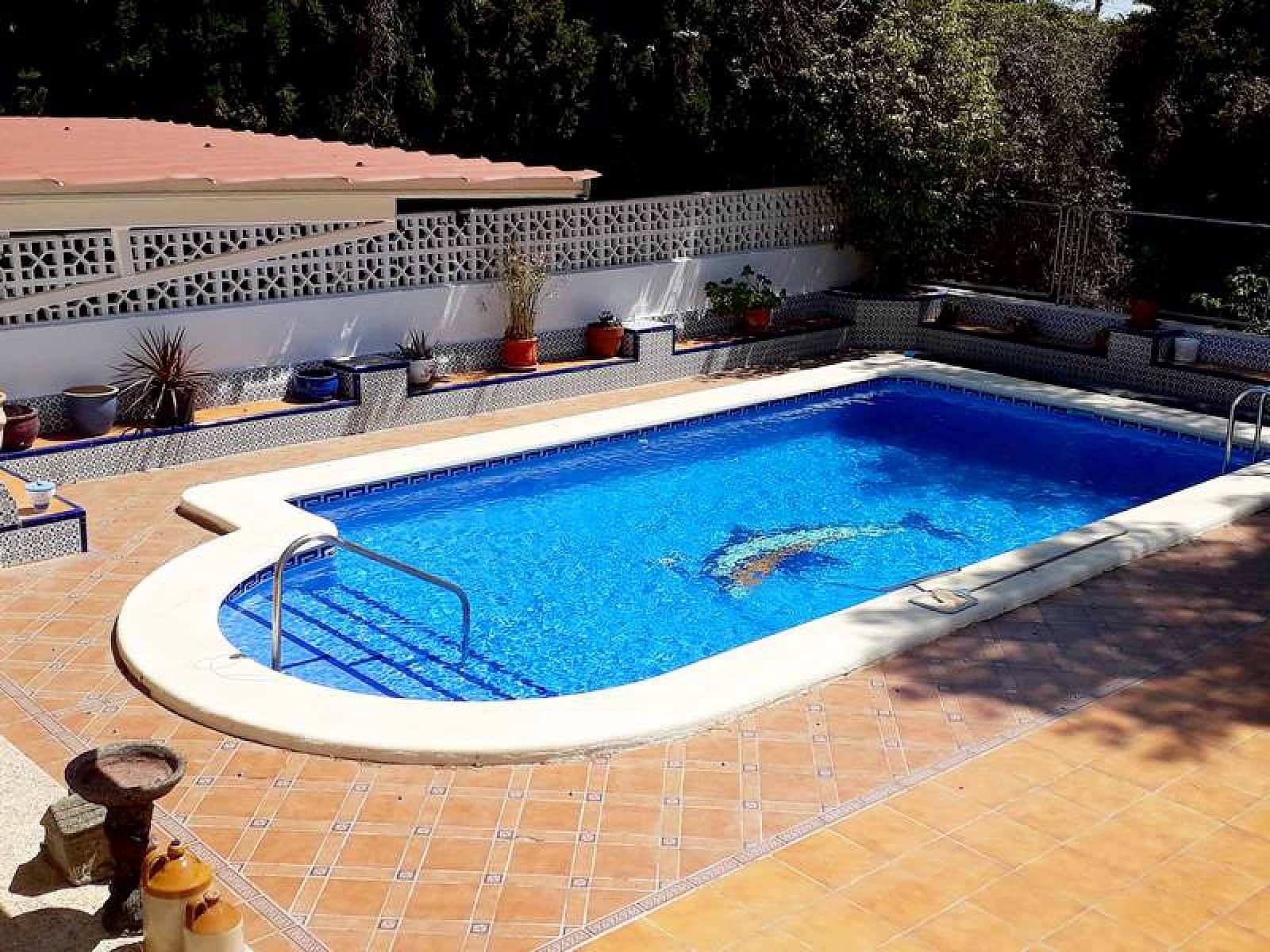 4 quarto Moradia Geminada para venda em Pinar de Campoverde com piscina - 259 900 € (Ref: 5954525)