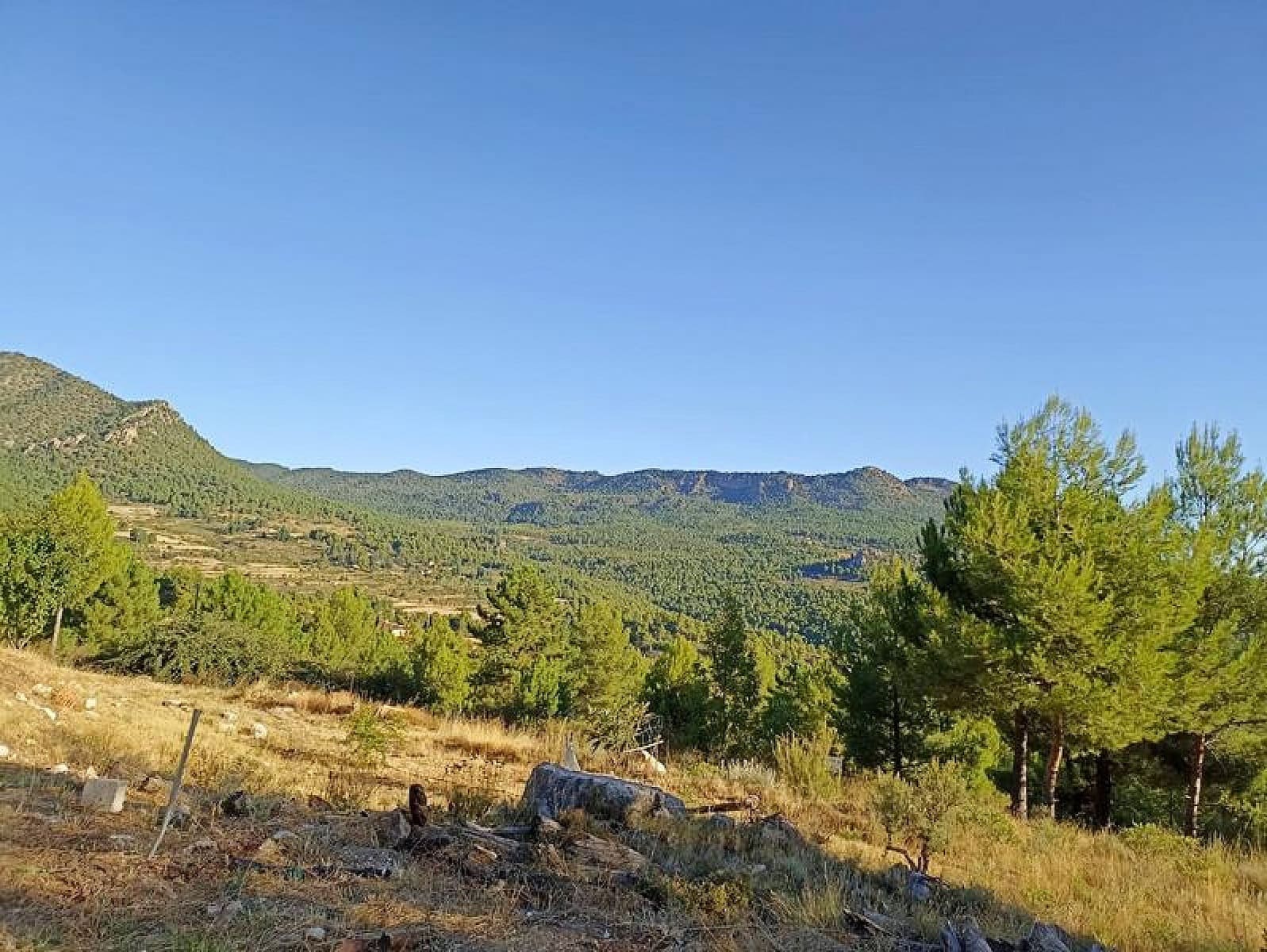 3 soveværelse Finca/Landehus til salg i Moratalla med swimmingpool - € 185.000 (Ref: 7429743)