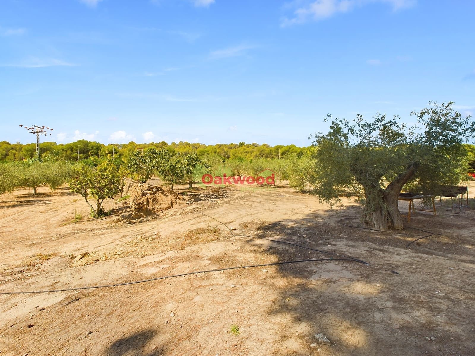 1 soveværelse Finca/Landehus til salg i Pilar de la Horadada med swimmingpool - € 249.000 (Ref: 8486978)