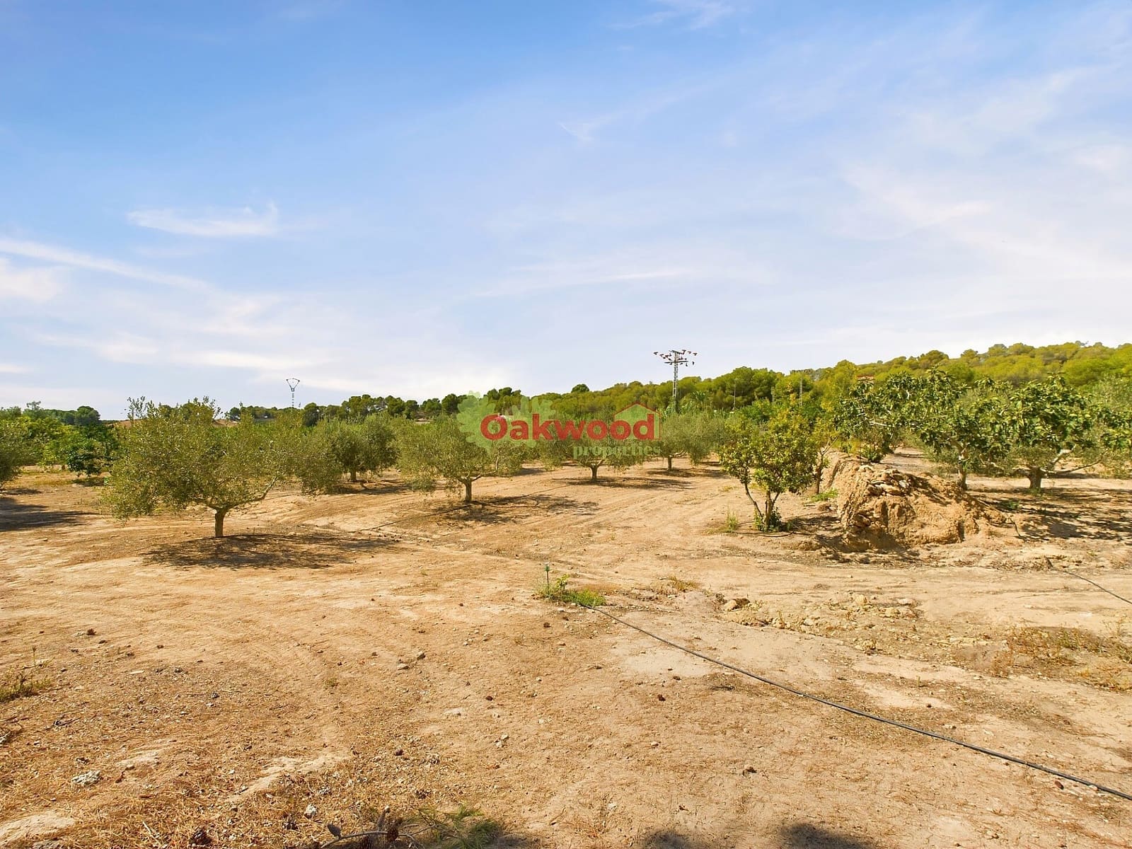 1 soveværelse Finca/Landehus til salg i Pilar de la Horadada med swimmingpool - € 249.000 (Ref: 8486978)