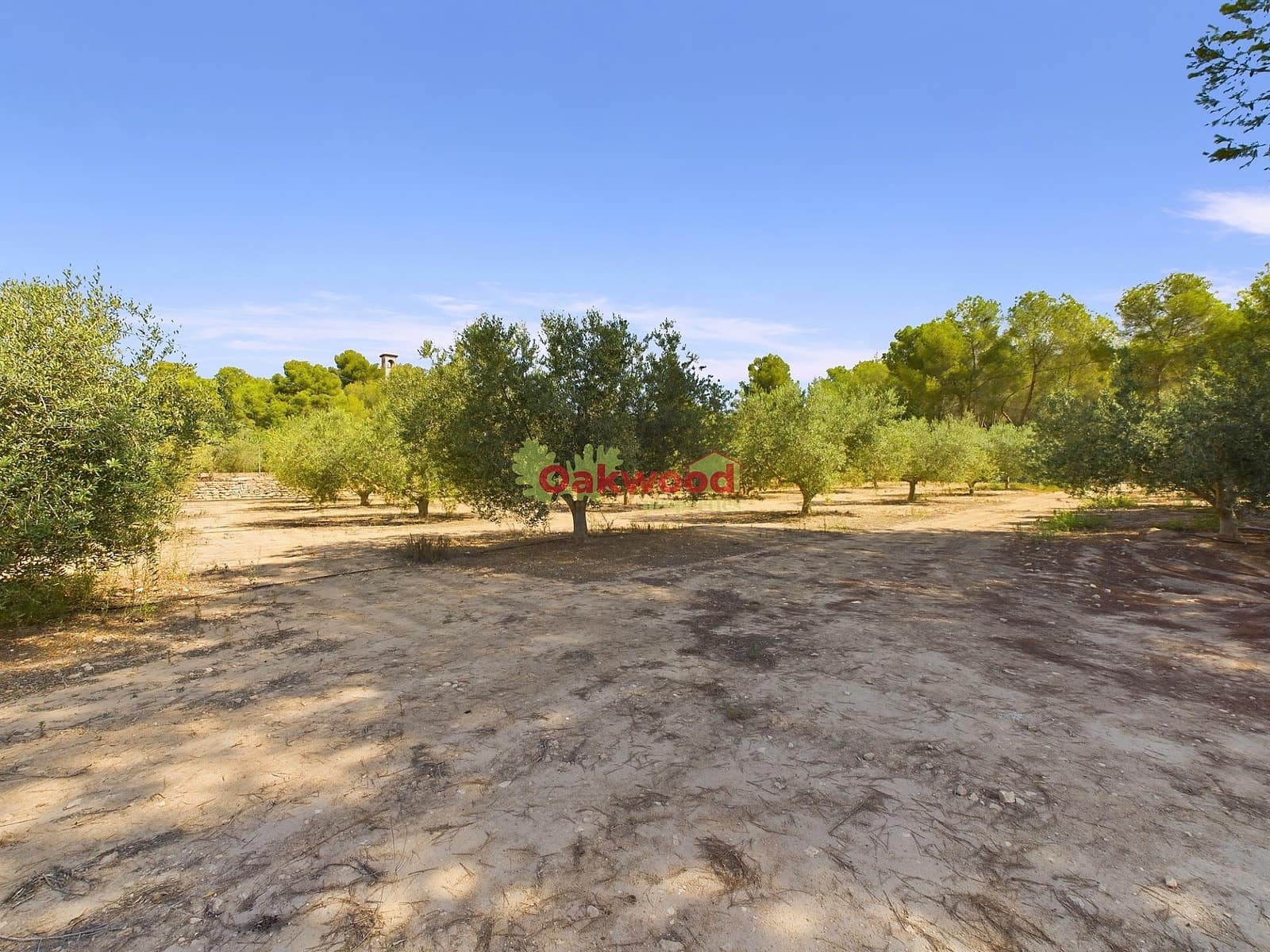 1 soveværelse Finca/Landehus til salg i Pilar de la Horadada med swimmingpool - € 249.000 (Ref: 8486978)