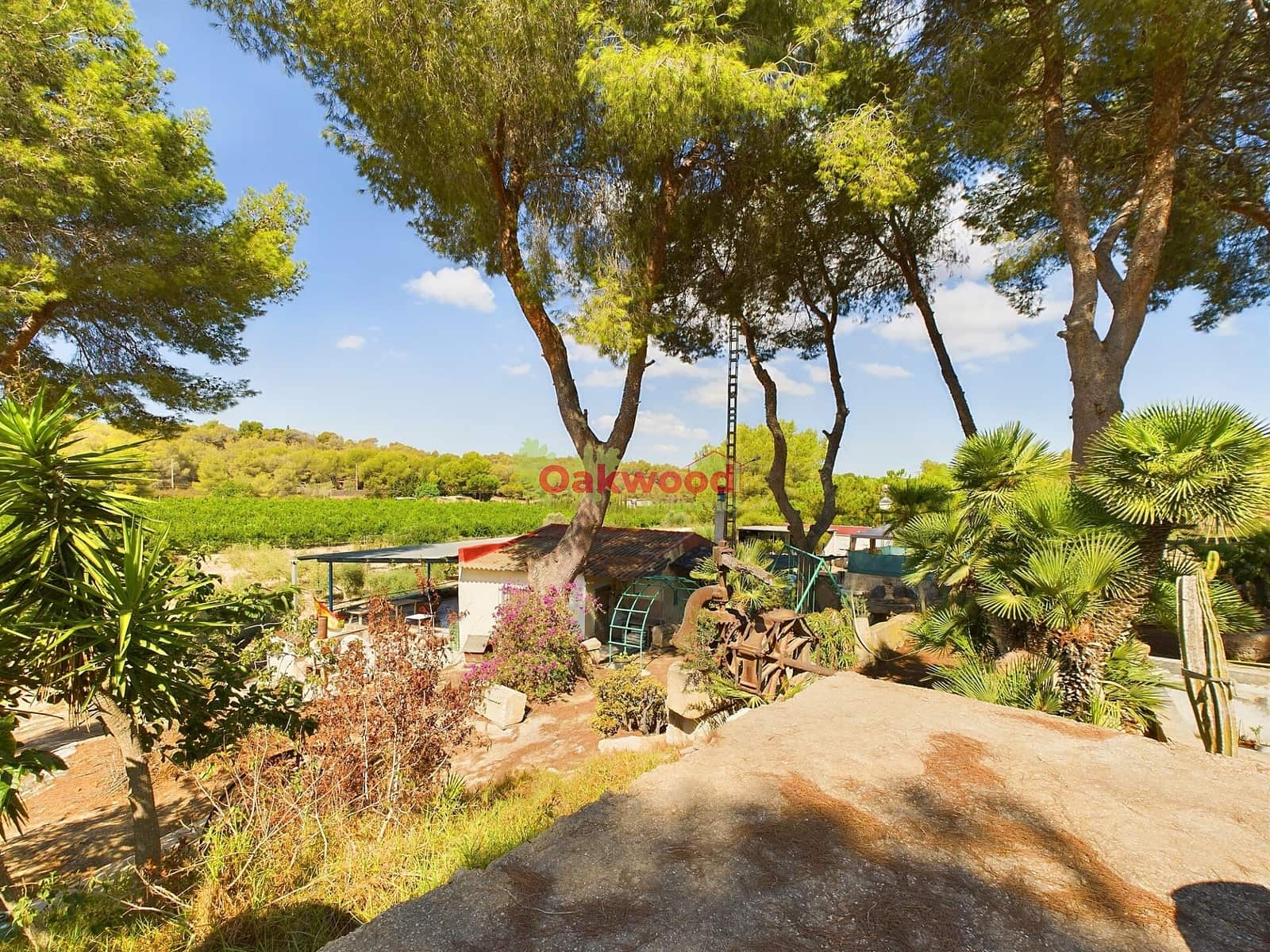 1 soveværelse Finca/Landehus til salg i Pilar de la Horadada med swimmingpool - € 249.000 (Ref: 8486978)