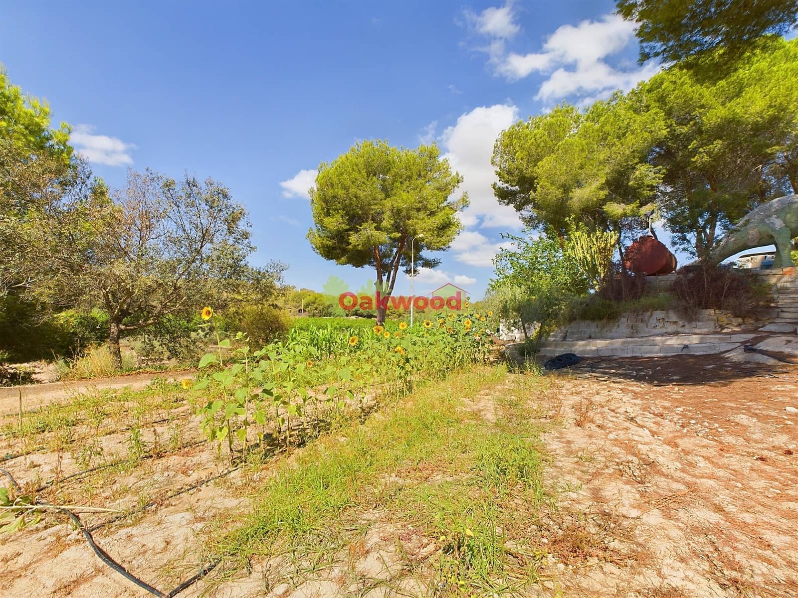 1 soveværelse Finca/Landehus til salg i Pilar de la Horadada med swimmingpool - € 249.000 (Ref: 8486978)