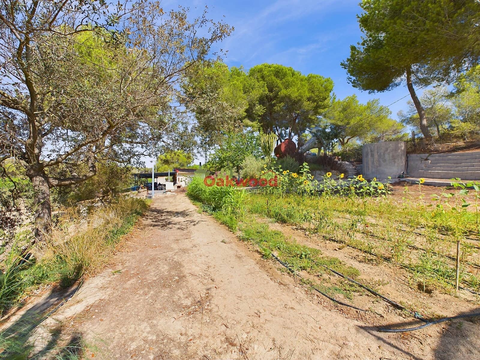 1 soveværelse Finca/Landehus til salg i Pilar de la Horadada med swimmingpool - € 249.000 (Ref: 8486978)