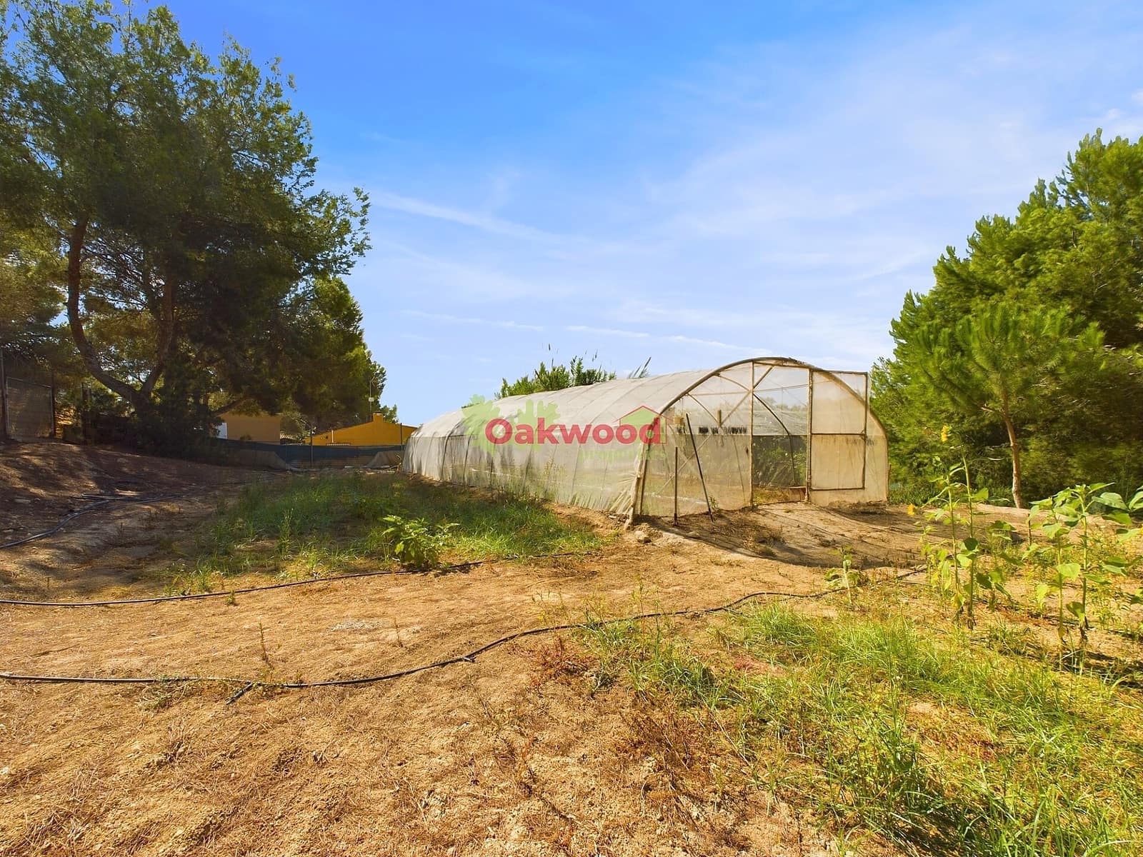 1 soveværelse Finca/Landehus til salg i Pilar de la Horadada med swimmingpool - € 249.000 (Ref: 8486978)