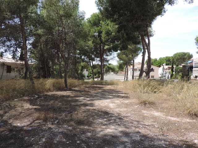 Mark till salu i Pinar de Campoverde, Pilar de la Horadada - 135 000 € (Ref: 9211400)