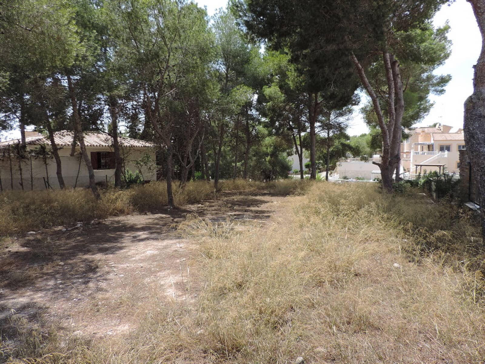 Grunde uden byggetilladelser til salg i Pinar de Campoverde - € 135.000 (Ref: 9211400)