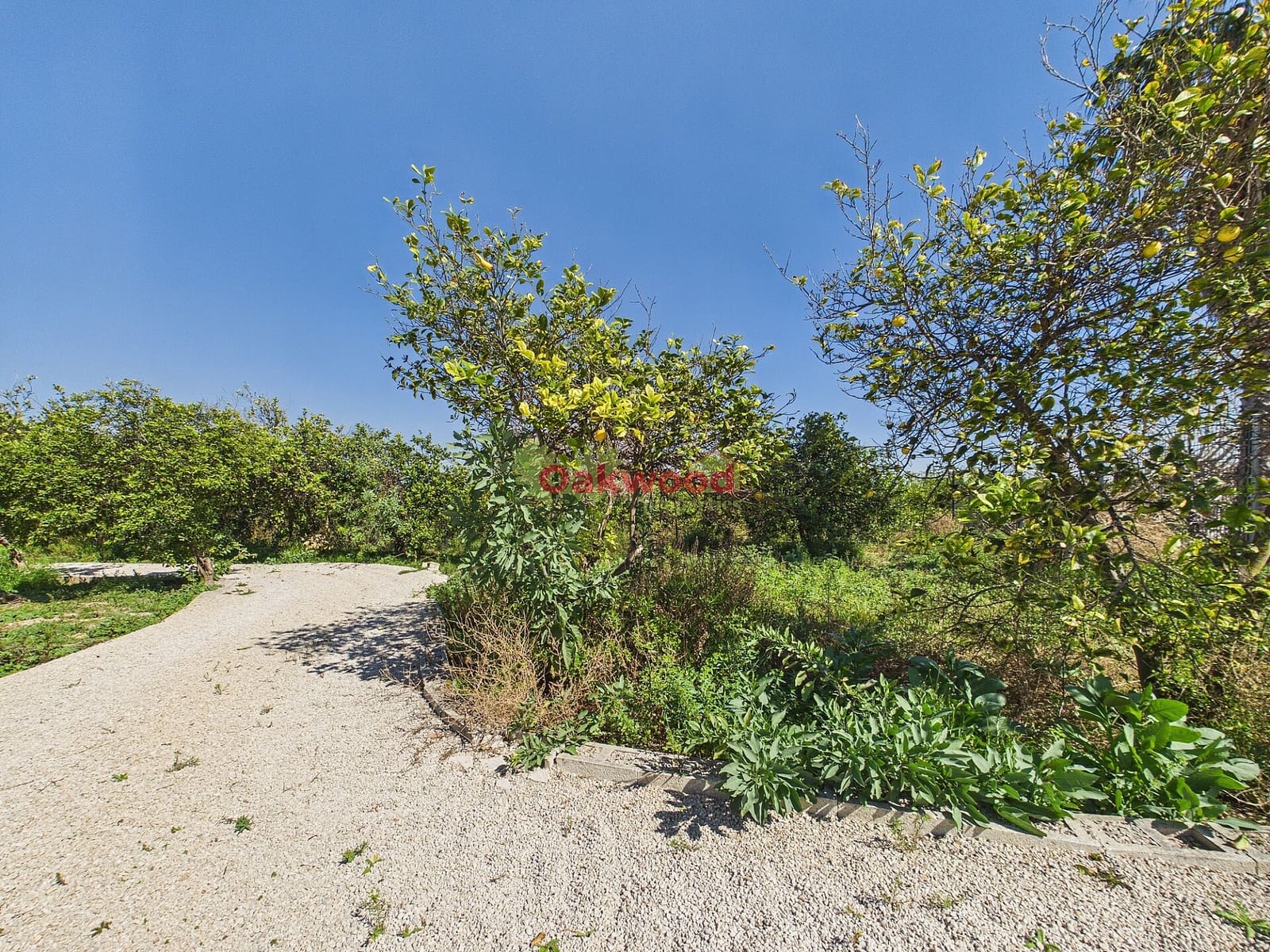 3 bedroom Villa for sale in Orihuela Costa with pool garage - € 1,250,000 (Ref: 9645770)